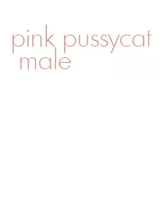 pink pussycat male