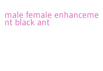male female enhancement black ant